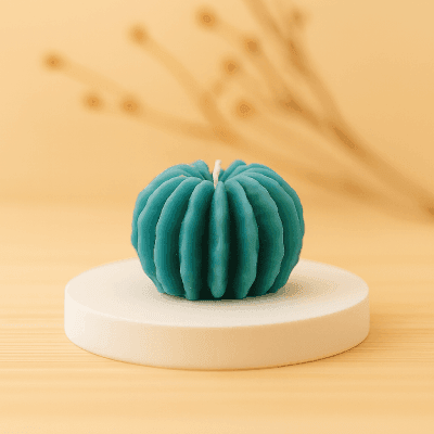 Cactus V324