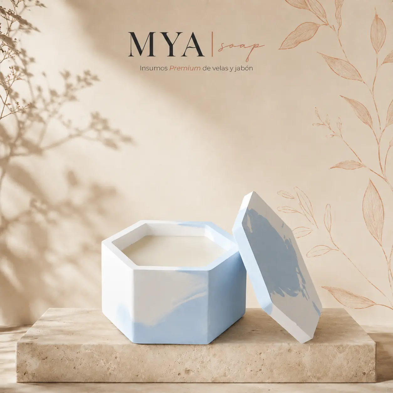 Molde de Caja Hexagonal V692